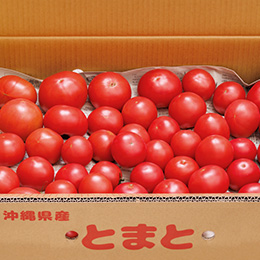 【高糖度】えんでんトマト 10kg 送料無料